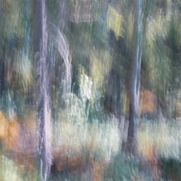 Sweden June 2018 Impressionist landscape photography utilizing intentional camera movement. Copyright © Anders Stangl Photography