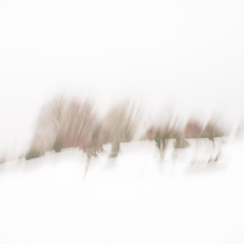 Sweden, January 2019  Impressionist photography utilizing intentional camera movement.   © Anders Stangl Photography
