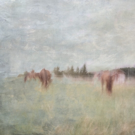 Impressionist abstract rural scene utilizing intentional camera movement. Volume 12 in this series