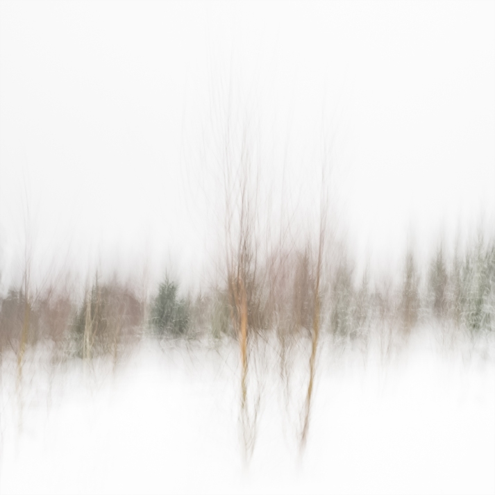 Sweden, January 2019  Impressionist photography utilizing intentional camera movement.   © Anders Stangl Photography