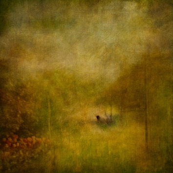 Impressionistic forest scene. Volume 41 in this series