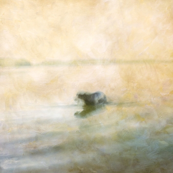 Impressionist scene of a dog in a lake. Volume 43 in this series