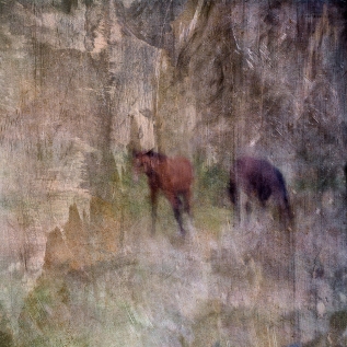 Impressionist rural scene of a horse in a summer meadow. Volume 7 in this series