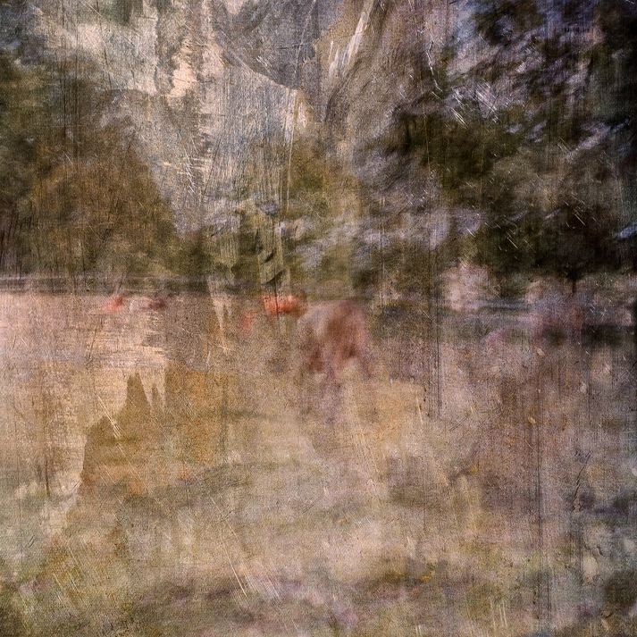 Impressionist abstract rural scene of cattle in a summer meadow. Volume 20 in this series